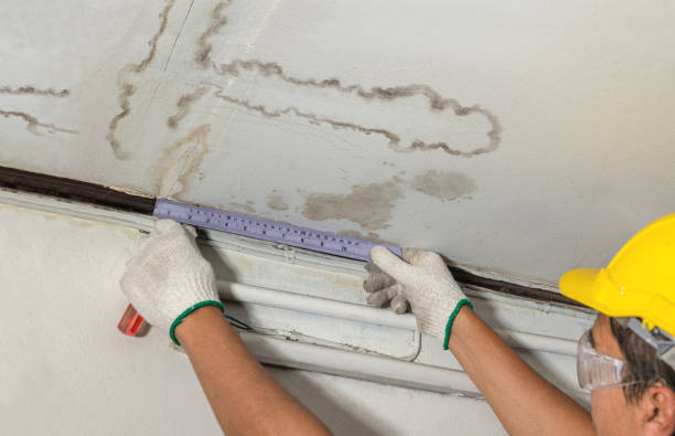 Reliable Burst Pipe Cleanup contractor in Genoa City, WI by Water Damage Irwin